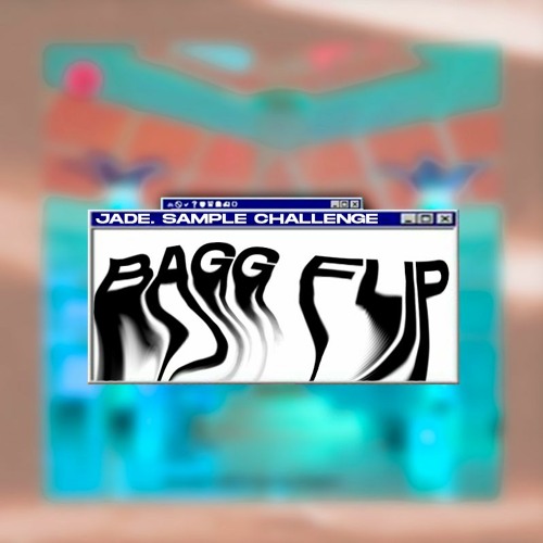 BAGG FLIP - JADE. Sample Challenge