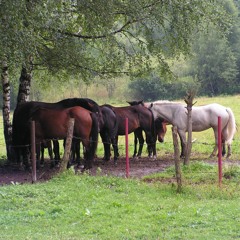 Horsepower