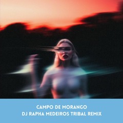 Luisa Sonza - Campo de Morango (DJ Rapha Medeiros Tribal Remix)
