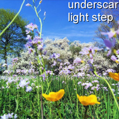 light step