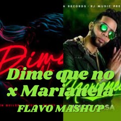 Dime Que No x Marianela (FLAVO Mashup)