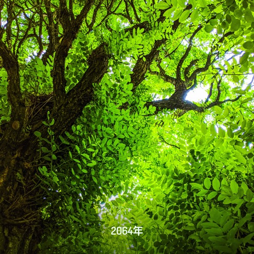 АҐРУС — ДЕНДРОЛОҐІЯ [2064年 Recordings]