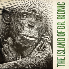 Where Is Your Tribe (Interlude)