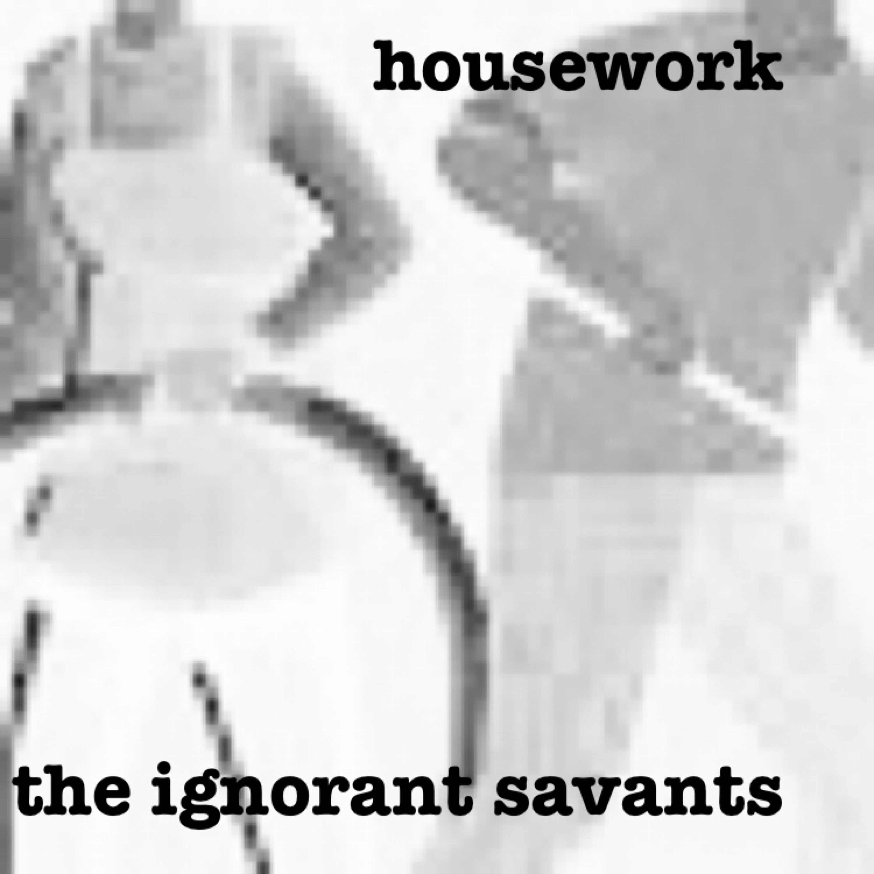 the ignorant savants