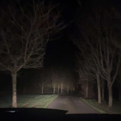 Pro Palestine Artists - 2