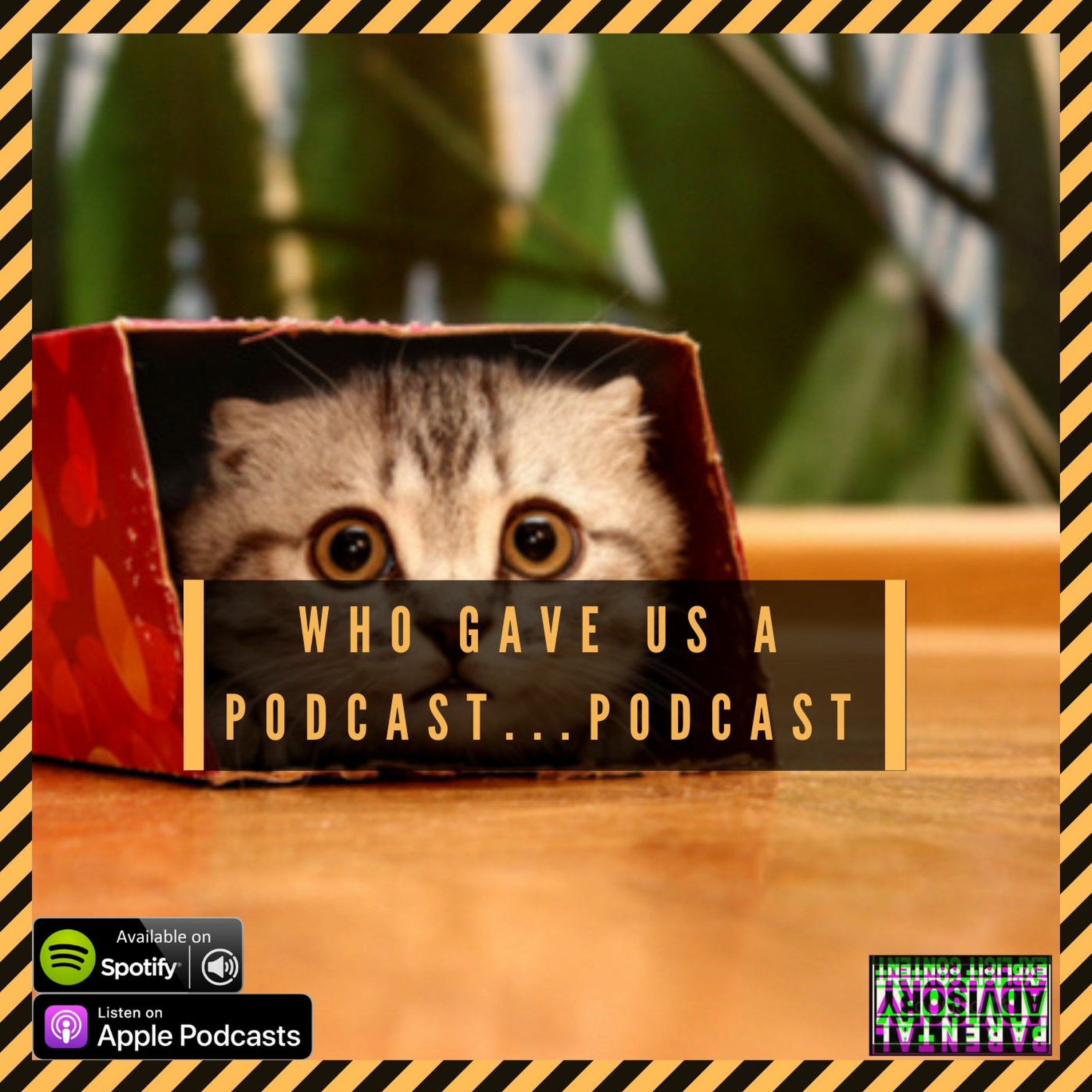 Msfit & Friends Podcast