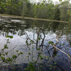 Mar2020 MSD Sumer Distances - Main Out L - R