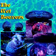Mushroom Sniffers
