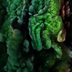 MitteGirls (Trance Edit)