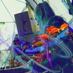 L´ Anima @ SeeFloor Funkentanz Festival 2025 [Tribal Melodic Techno & Deep House Mix]