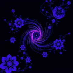 Quantum Reality Salvia D