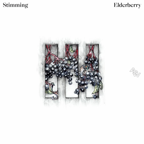 CC Premieres: Stimming - People Do [Awesome Soundwave]