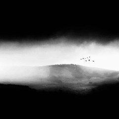 Fall 2024 Ambient Mix