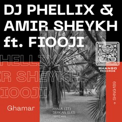 DJ Phellix & Amir Sheykh Ft. Fiooji - Ghamar (Serkan Eles Remix)