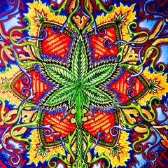 E11even Vs Psyrrano 420 DJ Tag Set April 2025