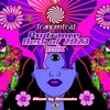 Psytrance Best of 2023 mix by Khromata [Trancentral Mix 184] DJ mix artwork - Electronic music tracklist cover image