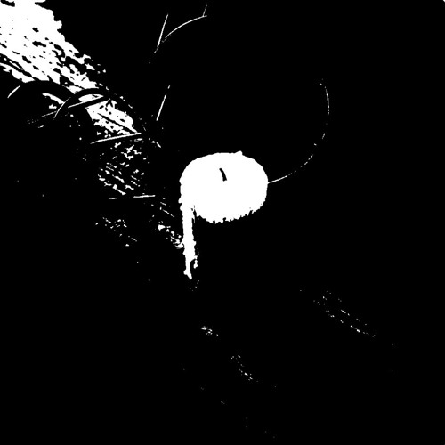 DMVU - LANTERN BEARER (JARS REMIX)