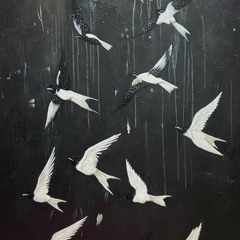Fly Away w/ december 1st