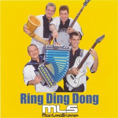 Swiss Lady (Radio Mix)