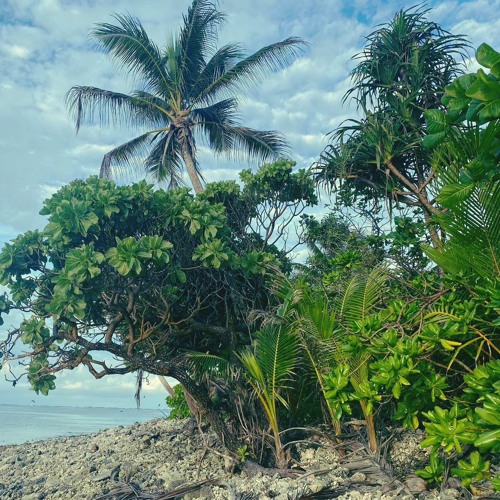 01 Jukjuk Meme - LiTakke