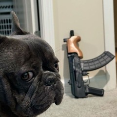 draco (prod. lvluvvbug x ff0lio)