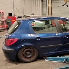 Shes some yoke to go round🤠🏁