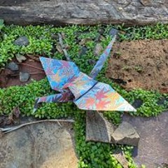 Ecstatic Dance - Release to Reset - Eugene, OR, 10/10/23