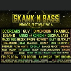 Skank'n'Bass Indoor Festival 2016 Fazer Old Entry (Re Upload)