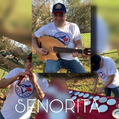 Senorita Instrumental | Elman Music
