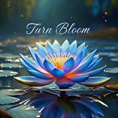 Blue Lotus Turn Bloom Video