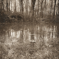 BITS AND PIECES (DEMO)