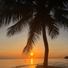 Tribel dance experience