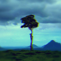 Dream Tree