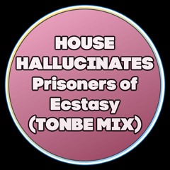 House Hallucinates - Prisoners Of Ecstasy (Tonbe Mix) - Free Download