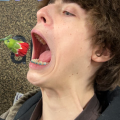 playboicarti - another day