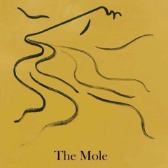 PREMIERE > The Mole - The River Widens (Album Sampler)[RED MOTORBIKE]