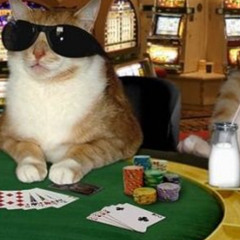 lifes a gamble