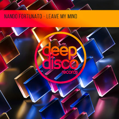 Nando Fortunato - Leave My Mind