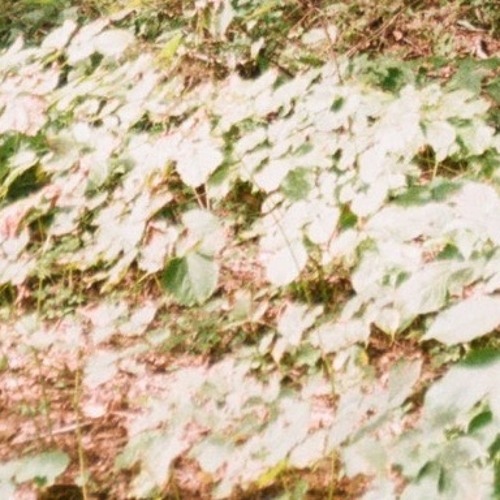 Uecalypt - Sundialling