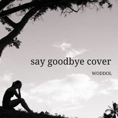 Say Goodbye (sarcastic sounds cover)