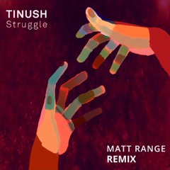 Matt Range Struggle Remix