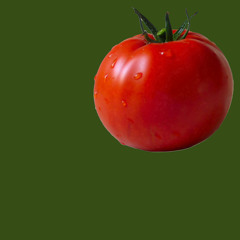 Spud