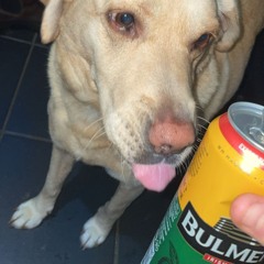 CENTRAL CEE ‘One by One’ CATHAL QUINLAN Remix