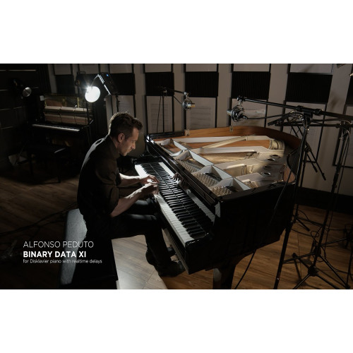 Alfonso Peduto - Binary Data XI