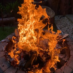 Festival of bass 2023 LIVE