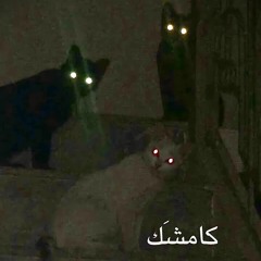 اكّستِسي - كامشَك /kamshak - XTC
