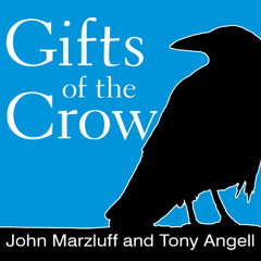 [Read] KINDLE 💕 Gifts of the Crow: How Perception, Emotion, and Thought Allow Smart