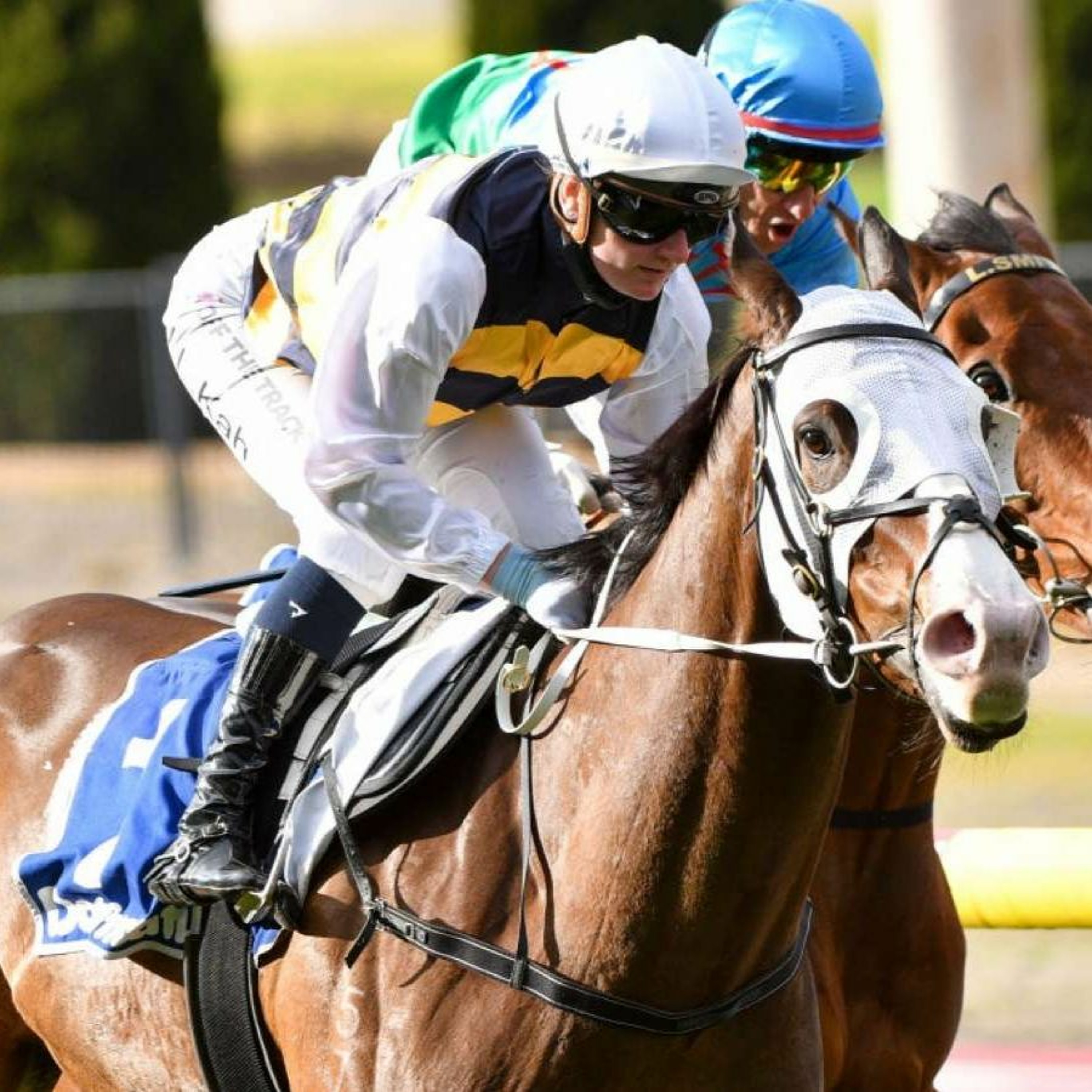 Moonee Valley 31st of July Review