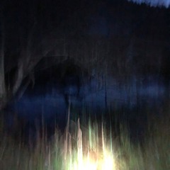 ᵈʳᵉᵃᵐⁱⁿᵍ ᵒᶠ ᵇᵉⁱⁿᵍ ᵃ ˡⁱᵗᵗˡᵉ ᶠʳᵒᵍ ˢˡᵉᵉᵖⁱⁿᵍ ⁱⁿ ᵗʰᵉ ᵐᵒˢˢ