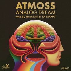 PREMIERE - Atmoss - Analog Dream (LA MANO Remix)